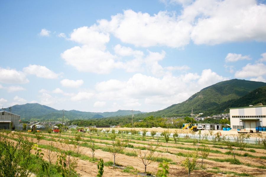 広島県 ヒロシマpeaceバナナカレーじゃけん3個セット 産地直送 同梱不可 島と暮らす 瀬戸内いいもの通販サイト