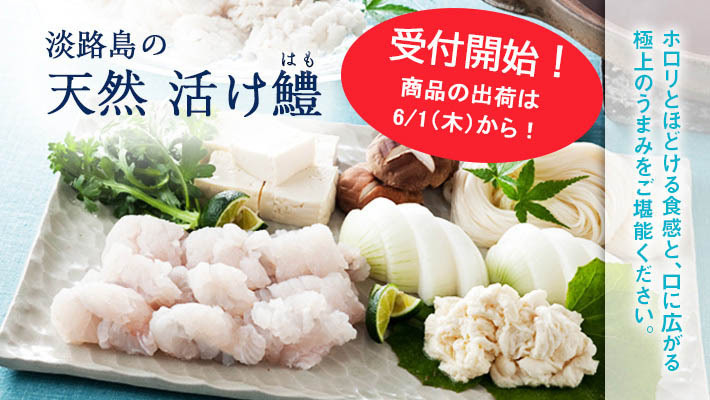 鱧