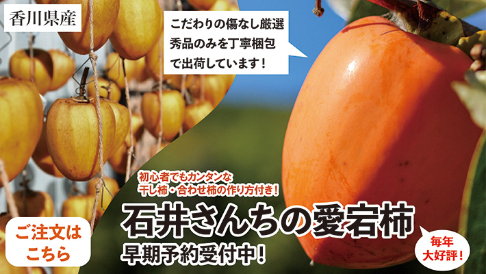 愛宕柿