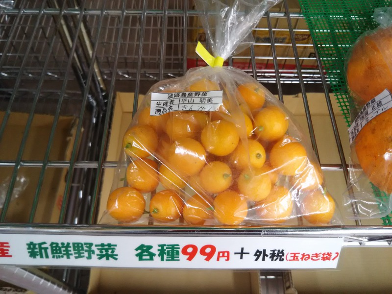 ここに写真の説明