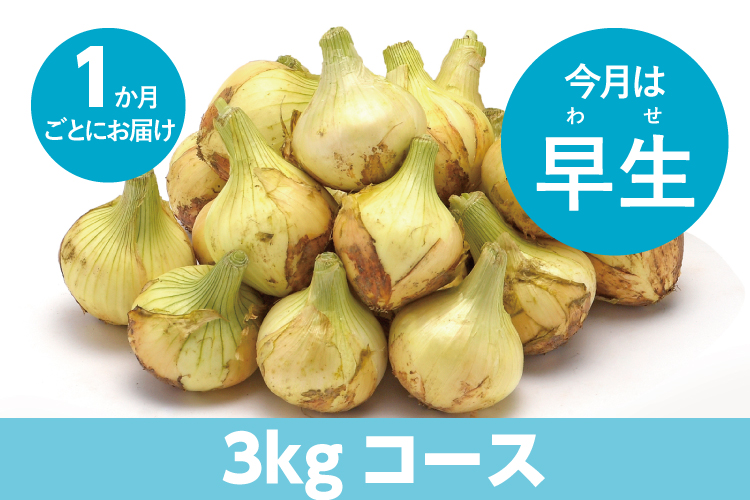 調理イメージ
