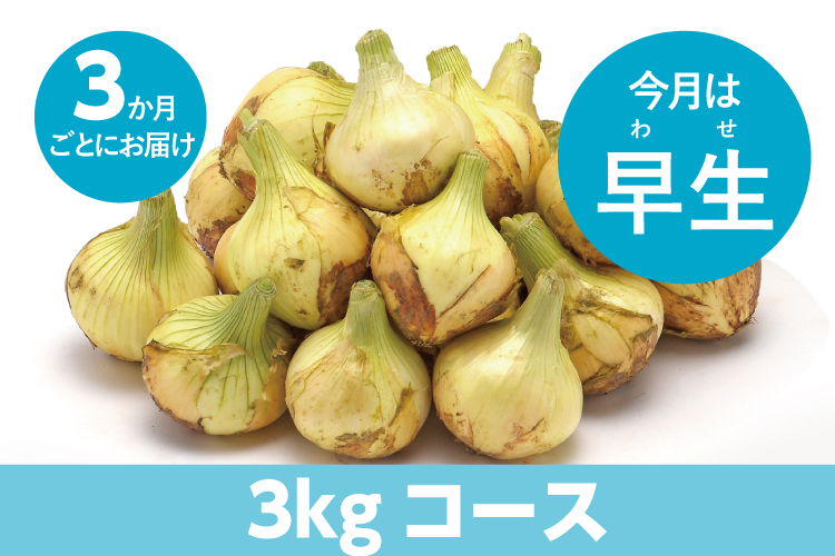 調理イメージ