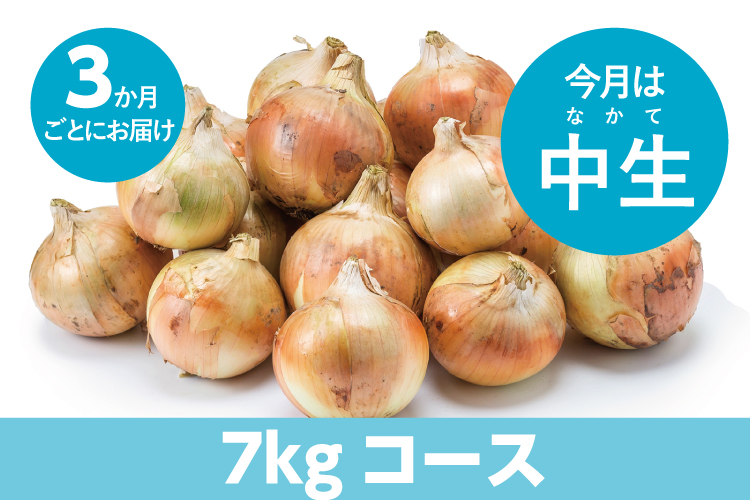 島の玉ねぎ定期便】７kg：３ヵ月に１回お届け　島と暮らす　瀬戸内いいもの通販サイト