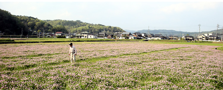 千年一酒造・銘酒セット】特別純米酒・原酒淡路　2本セット（各300ml）　島と暮らす　瀬戸内いいもの通販サイト